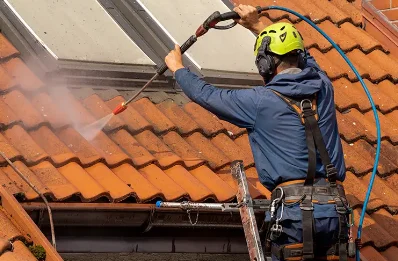 Démoussage et hydrofuge de toiture à Boron